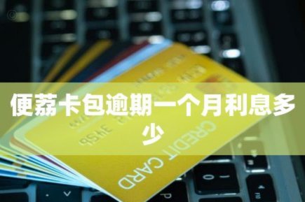 便荔卡包利息背后的隐形成本