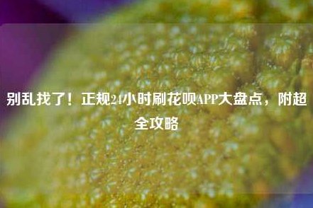 花呗套app：消费生态的精准运营之道