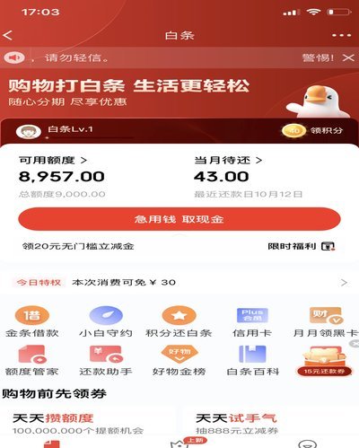 白条额度的灵活管理之道