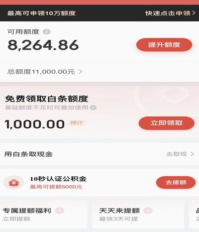 白条额度回收