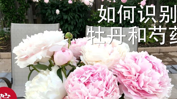 花呗怎么才能恢复使用?