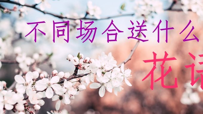 花呗怎么才能恢复使用?