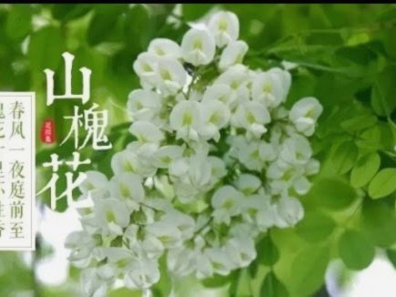套花呗风险大吗