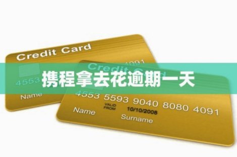 携程拿去花秒到 秒还款