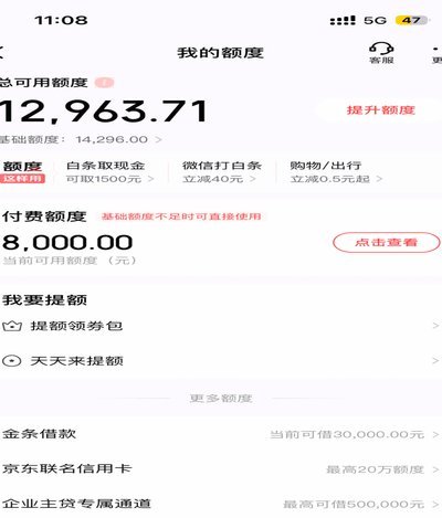 怎么把付费额度刷出来