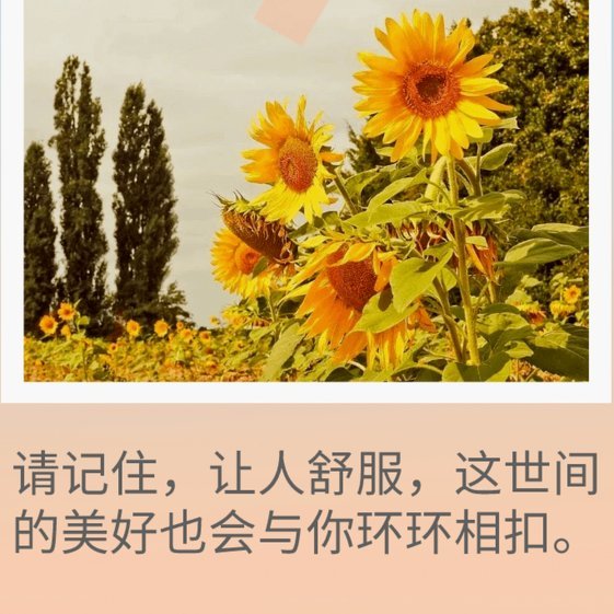 白条提出来
