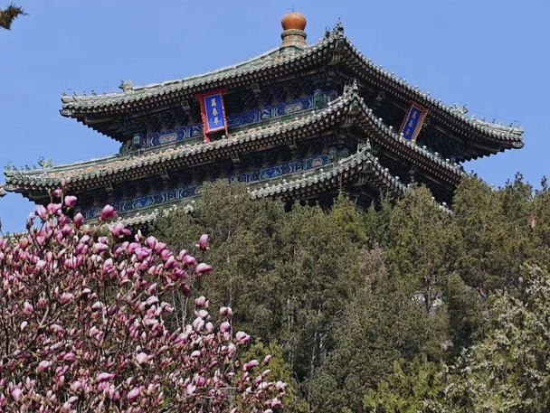 花呗现象背后的支付平台大调查