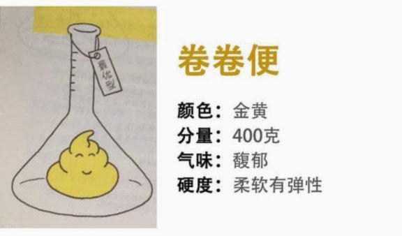 便盆演进录：人类文明的隐秘进化