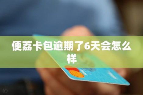 便荔卡包不还款会怎么样