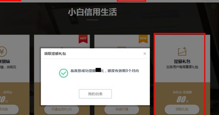 京东白条可以提现吗
