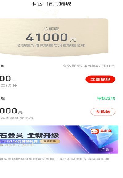 羊小咩贷款App测评：利息风险与隐私安全深度解析