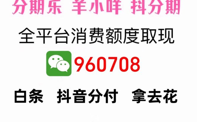 羊小咩购物额度怎么套出来