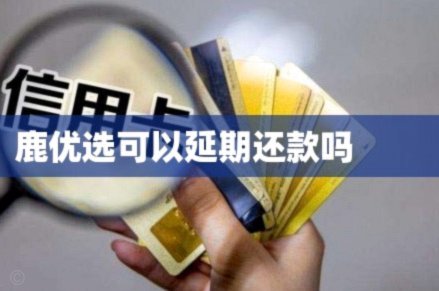 鹿优选网贷：重庆本地平台详解