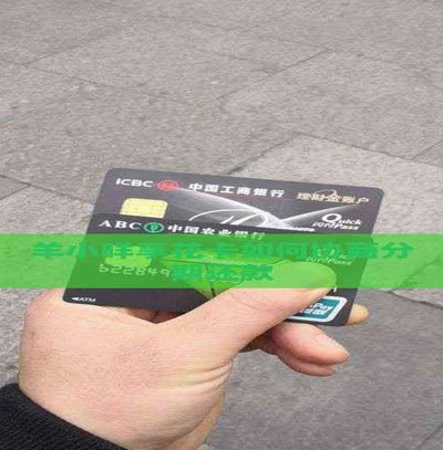 羊小咩便荔卡如何按时还款？全流程指南与风险提示