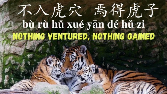 得物的余额提不出来