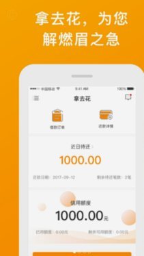 “拿去花”套现：风险与监管下的资金游戏
