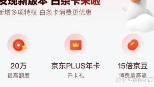 消费金融白条平台的多元生态格局