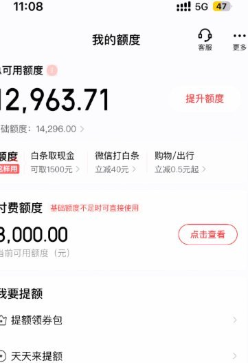 京东白条能套出来么