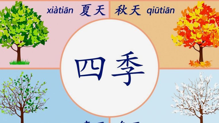 分期乐积分查询与深度使用攻略：掌握积累和兑换的秘诀