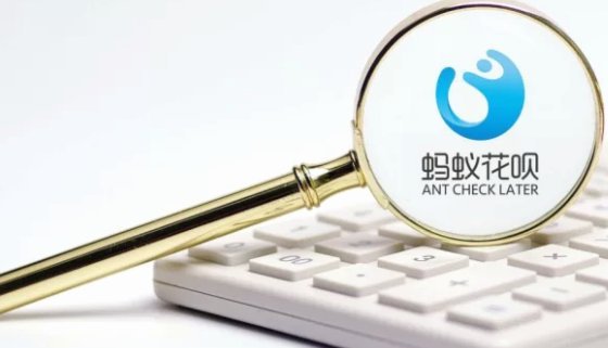 套花呗是什么意思
