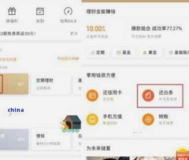 白条可以使用的平台
