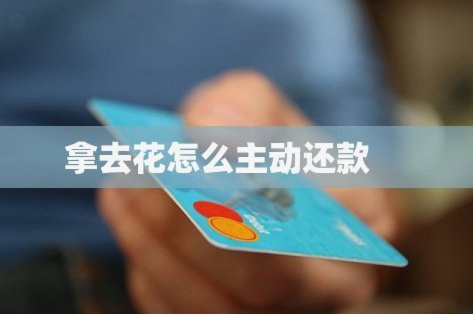 去哪儿旅行拿去花怎么还款