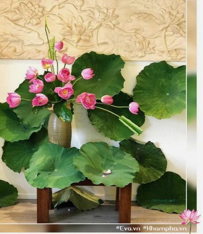花呗平台是什么平台啊安全吗