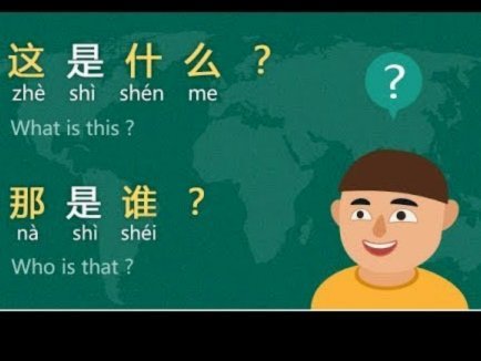白条额度：从刷到优化的实际路径解析
