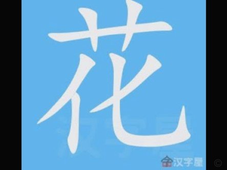 花呗“新”动静：稳健与变化并存