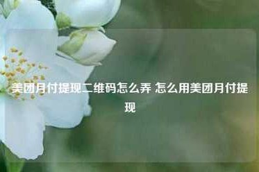 美团月付取现二维码套现安全吗？风险揭秘