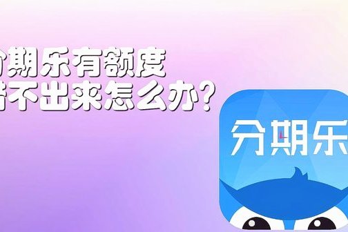 分期乐有额度但是借不了