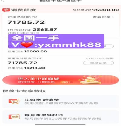 便荔卡包还款策略与风险评估