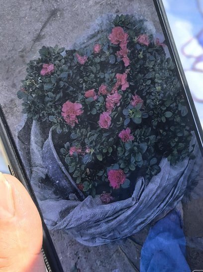 拿去花能套出来吗是真的吗