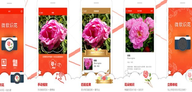 花呗秒套平台有哪些软件
