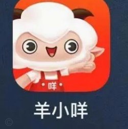 羊小咩贷款提现全攻略：深度解析提现流程与影响因素