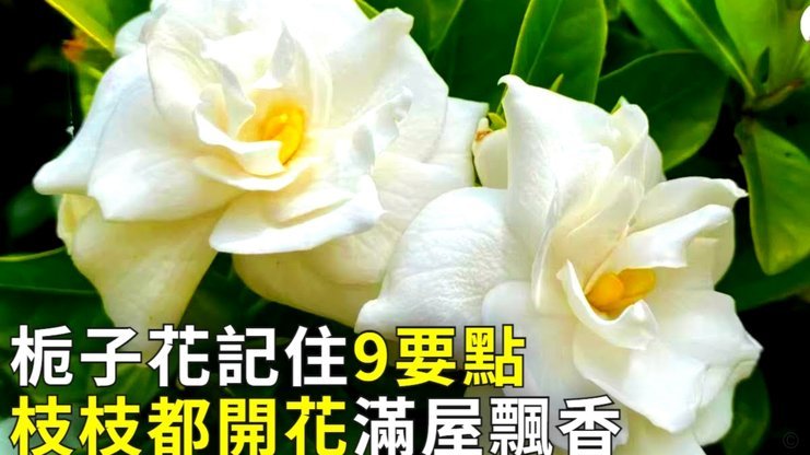 花呗背后的隐形消费陷阱