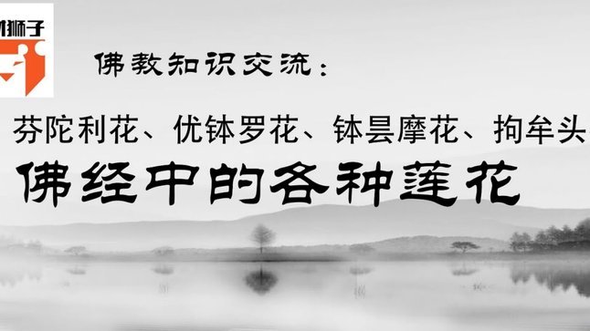 携程拿去花额度用不了？可能是这几个原因和解决办法