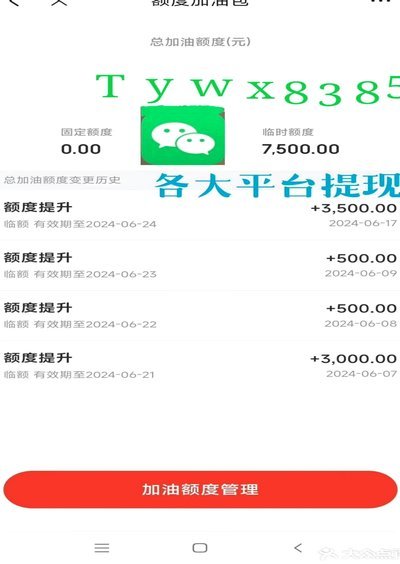 白条付费额度如何快速提升