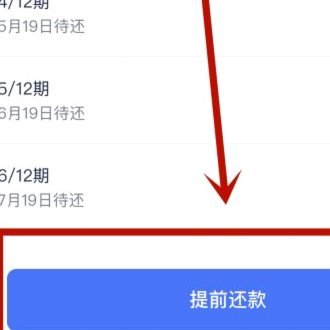 分期乐里买鸭能不能提前还