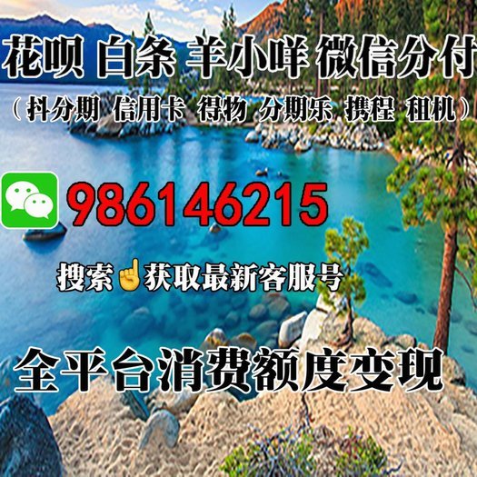 揭秘羊小咩消费额度的动态调整逻辑